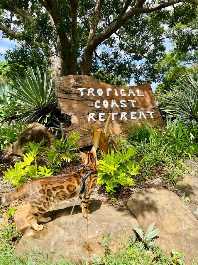 金斯克里福 Tropical Coast Retreat - Pet Friendly - Adult Only旅馆 外观 照片