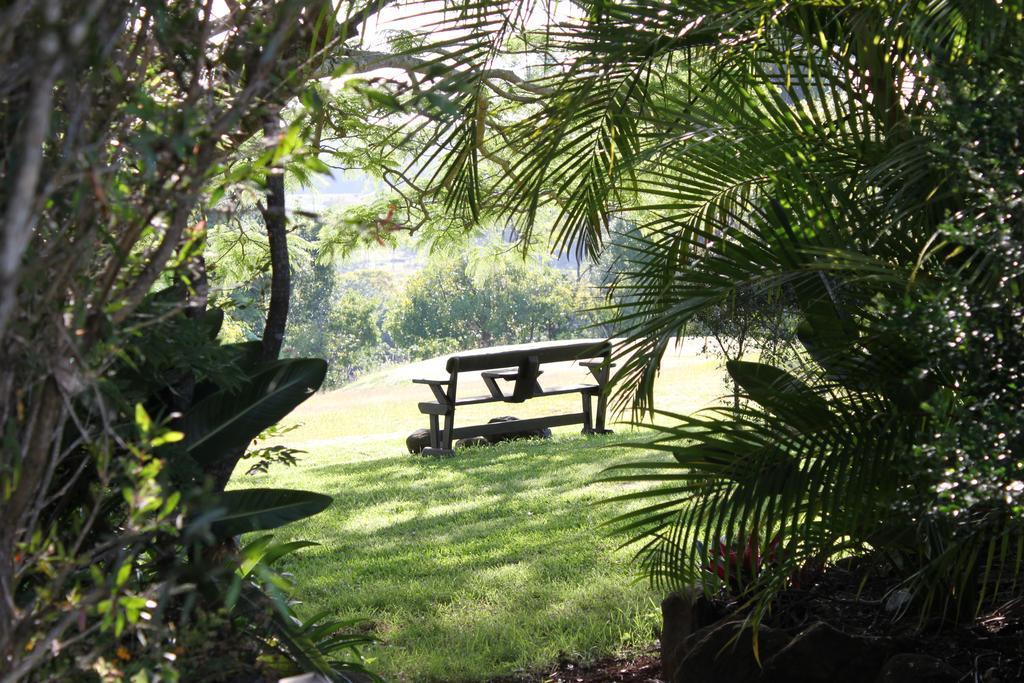 金斯克里福 Tropical Coast Retreat - Pet Friendly - Adult Only旅馆 外观 照片