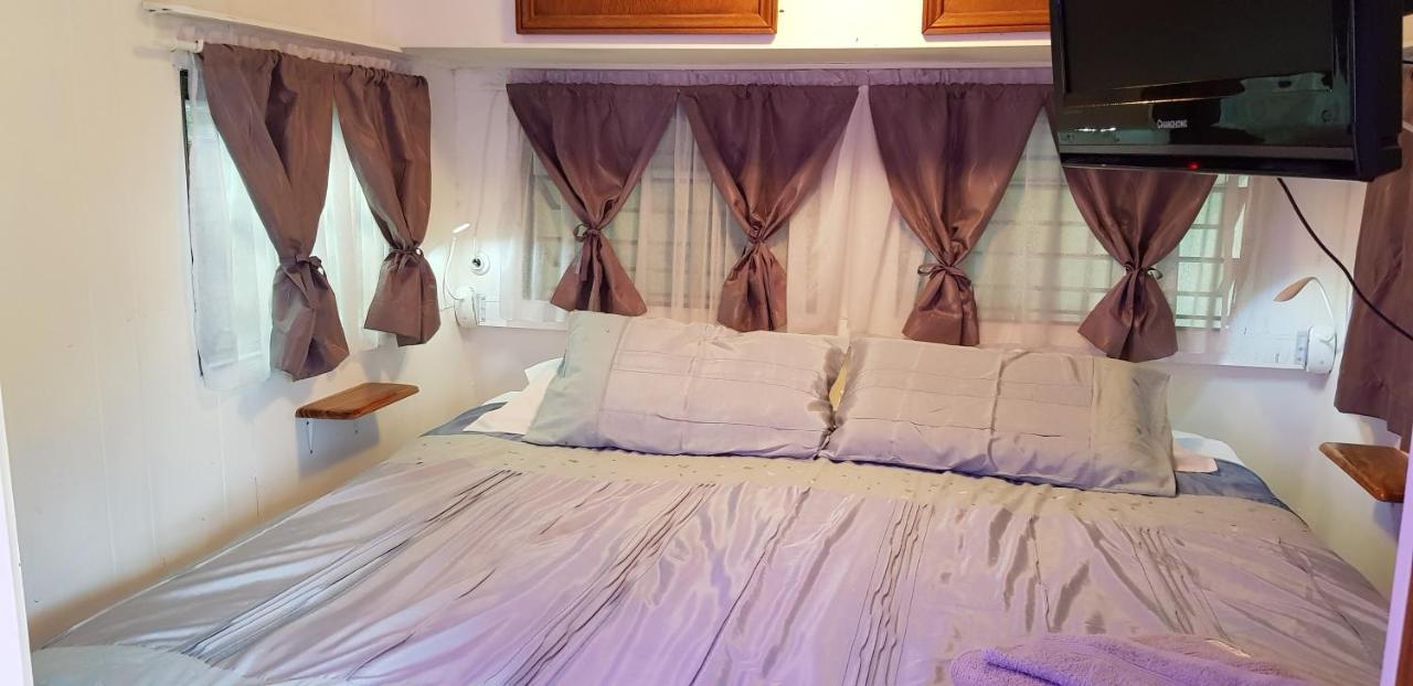 金斯克里福 Tropical Coast Retreat - Pet Friendly - Adult Only旅馆 客房 照片